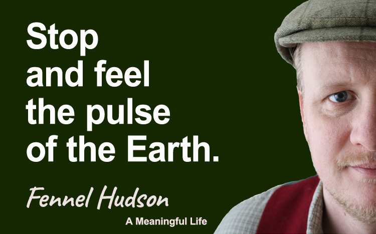 Stop and feel the pulse of the earth. Fennel Hudson author quote.