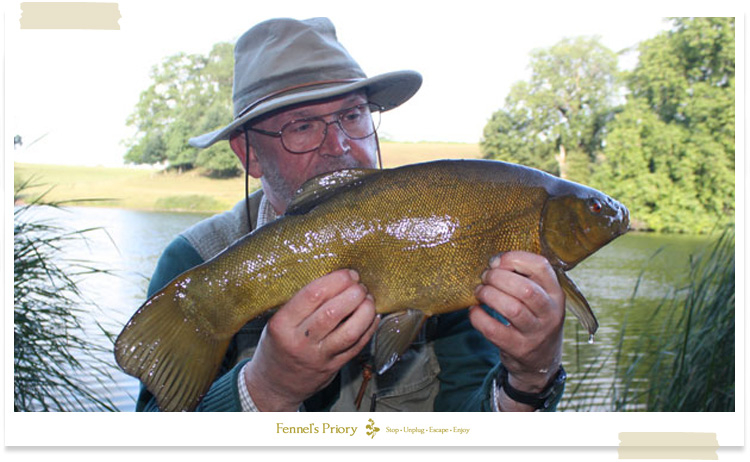 Traditional angling - classic tench
