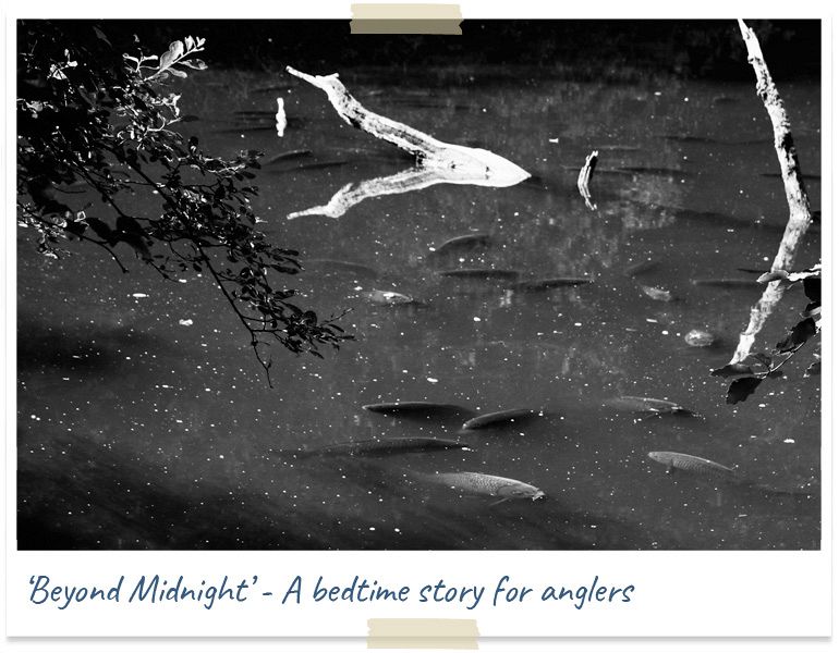 Beyond midnight - a bedtime story for anglers