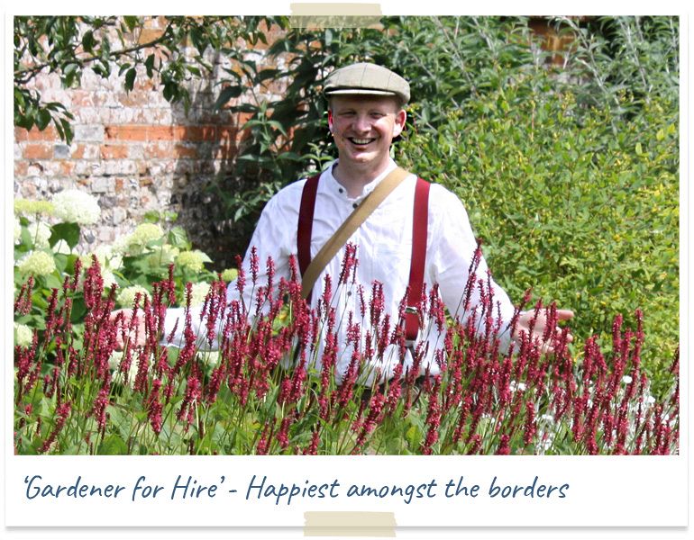 gardener for hire - happiest amongst the borders