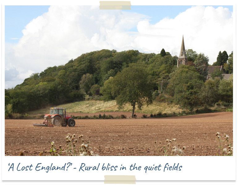 a lost england - rural bliss in the quiet fields