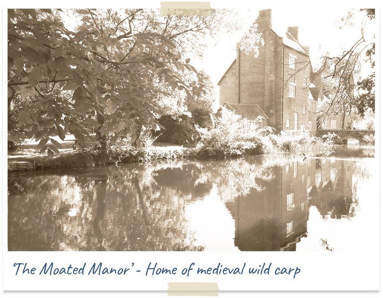 The moated manor - home of medieval wild carp