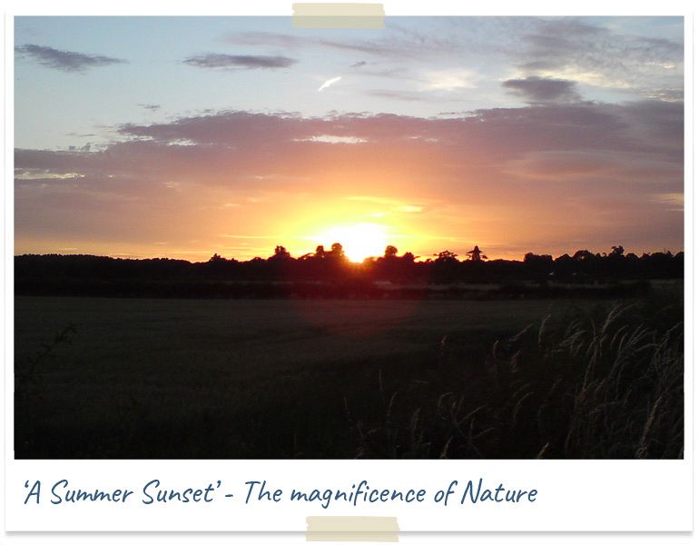 A summer sunset - the magnificence of nature