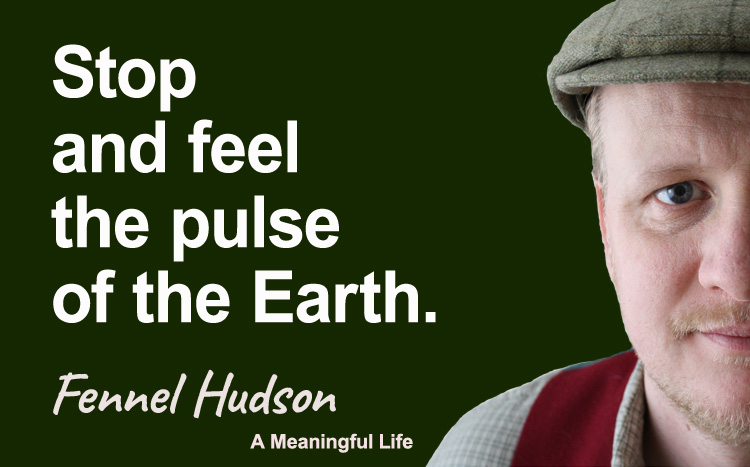 Stop and feel the pulse of the earth. Fennel Hudson author quote.