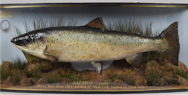 Flyfishers' Club salmon