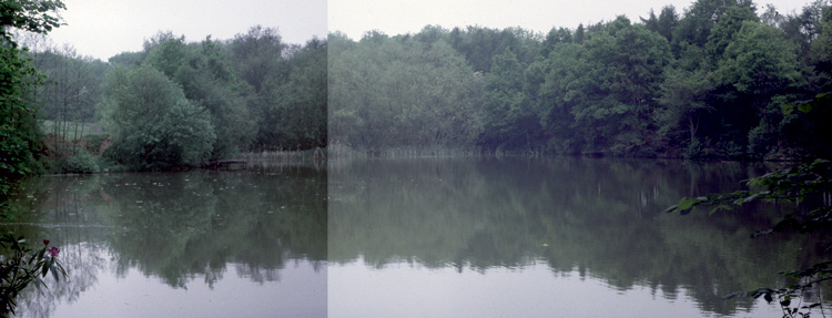 The Cottage Pool 1995
