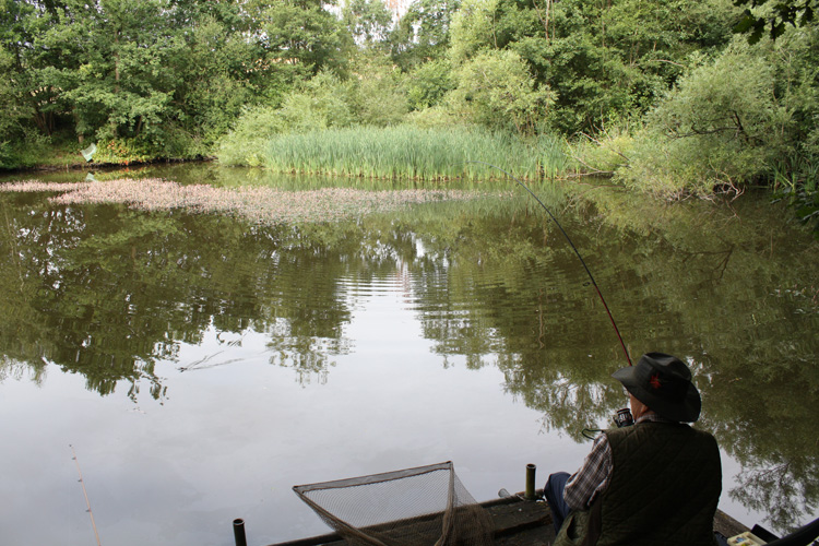 Dad playing a carp