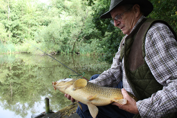 Dad's carp