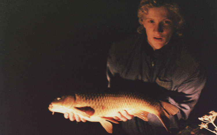Fennel, wild carp, 1989
