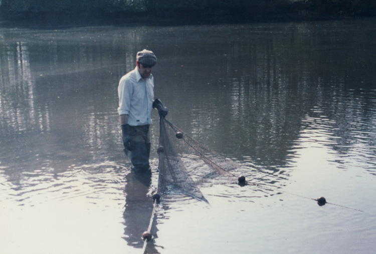 Netting the Cottage Pool
