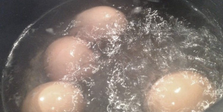 Eggs winter camping Fennel's Priory