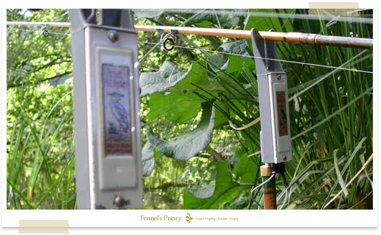 Traditional angling - electricity debate