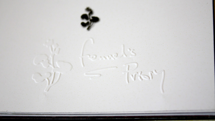 Fennel's Journal magazine - embossed