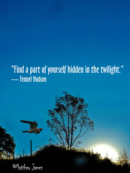 Fennel Hudson twilight quote