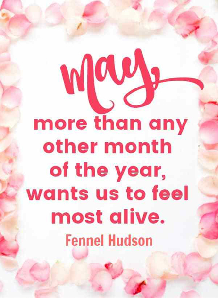 Fennel Hudson May quote