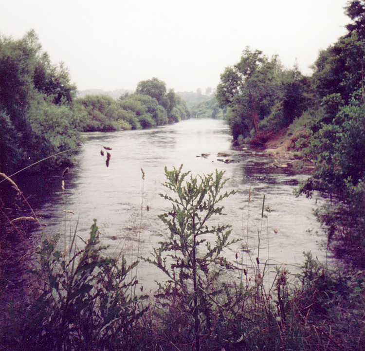 Hampton Loade Island, River Severn, 1991, Fennel Hudson