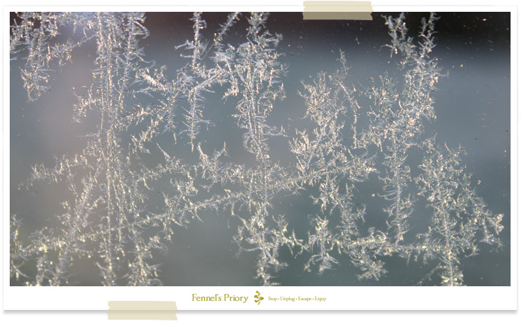 Nature's Lens, by Fennel Hudson