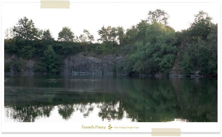 Quarry Bank Carp Fishery in France