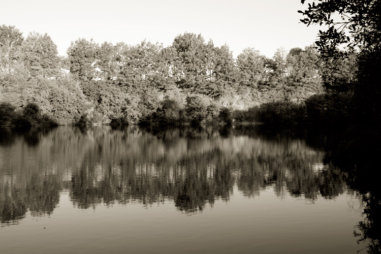 Quarry Bank carp fishery in france