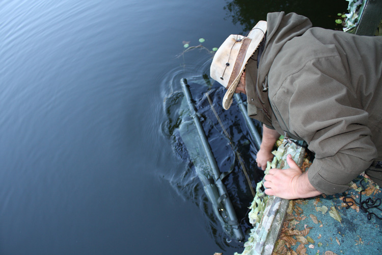 A carp in the sling at Quarry Bank Carp Fishery in France
