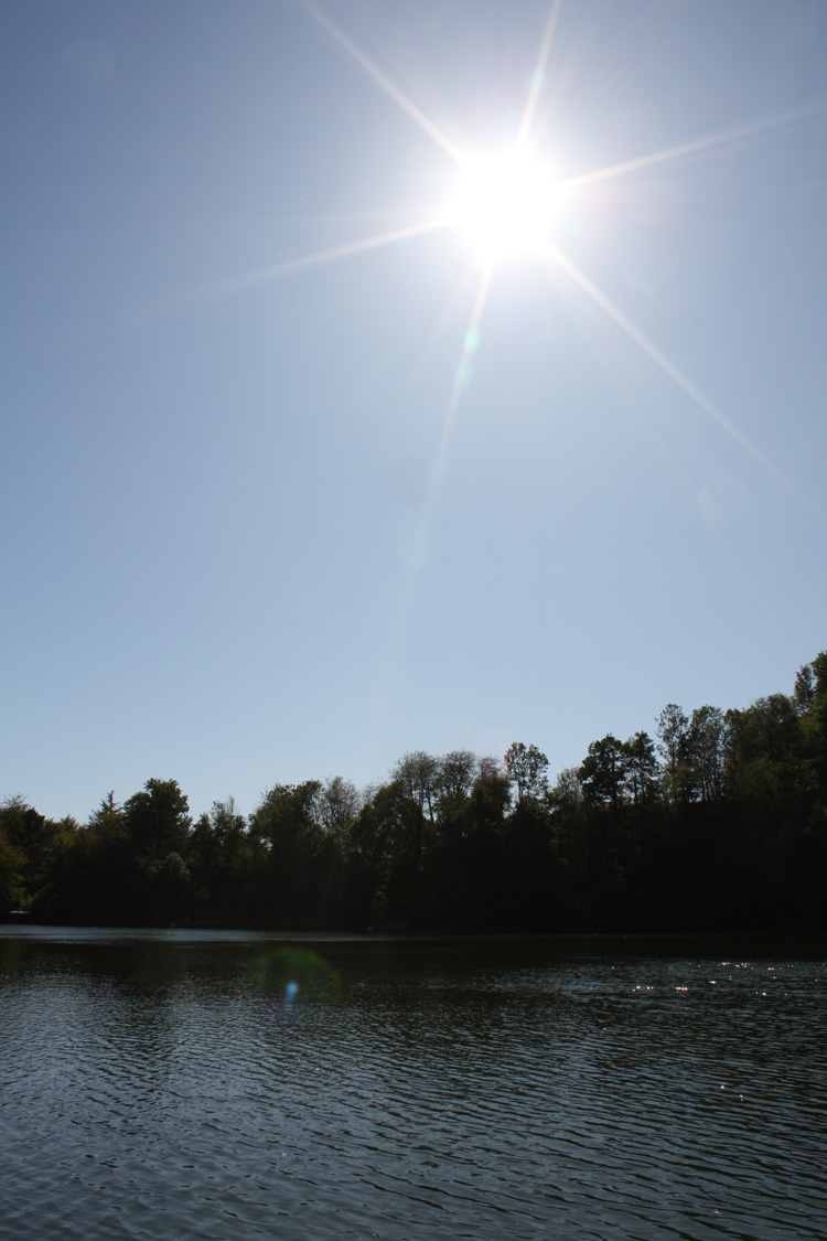 Noonday sun at Quarry Bank Fishery, France