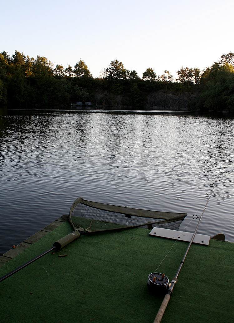 Fish in the net at Quarry Bank Fishery.