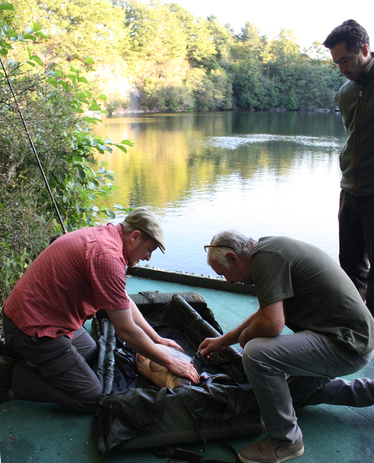 Fish welfare at Quarry Bank Fishery, France