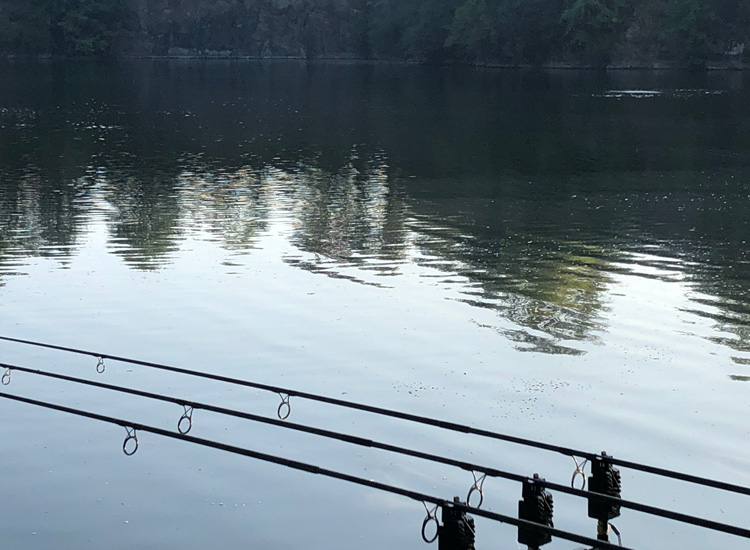 Fish feeding at Quarry Bank Fishery, France