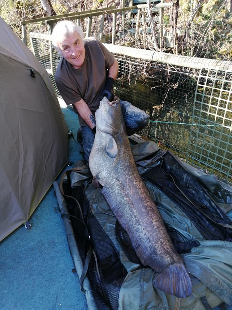 Quarry Bank fishery, France. 74lb catfish.