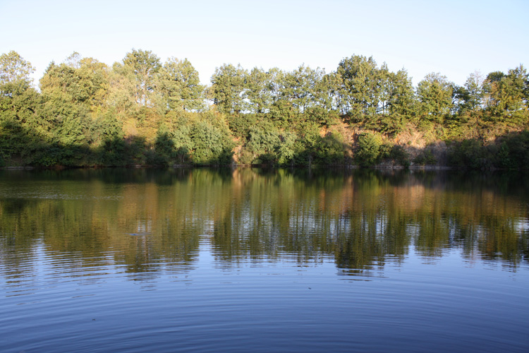 The view from Shaun Harrison's swim at Quarry Bank Fishery, France