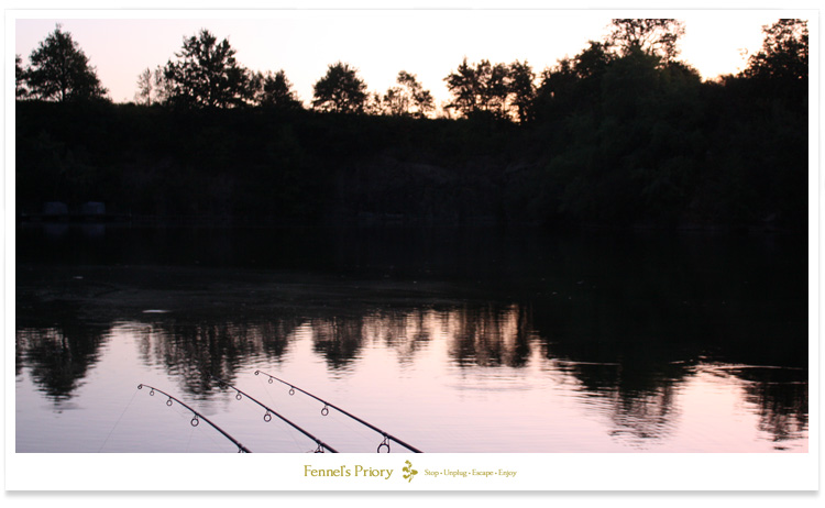 Quarry Bank Carp Fishery in France