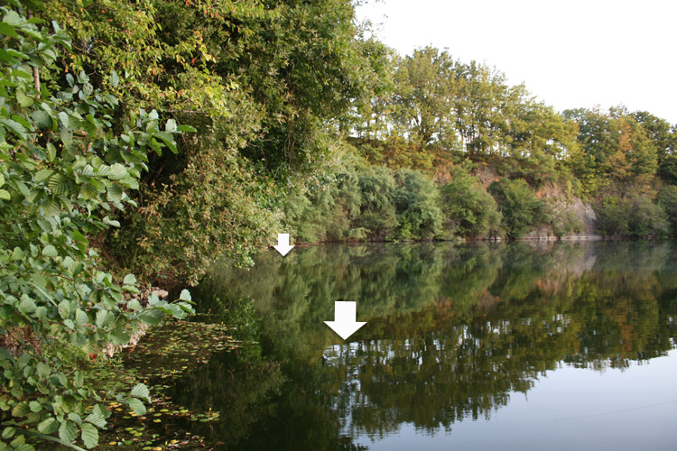 Fennel's swims at Quarry Bank Fishery.