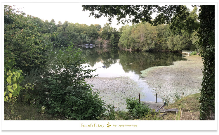 Quarry Bank Carp Fishery in France