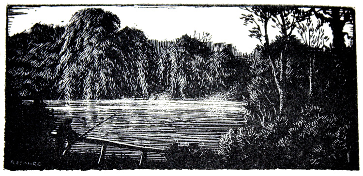 Scraperboard illustration of Redmire Pool by Denys Watkins-Pitchford (BB)