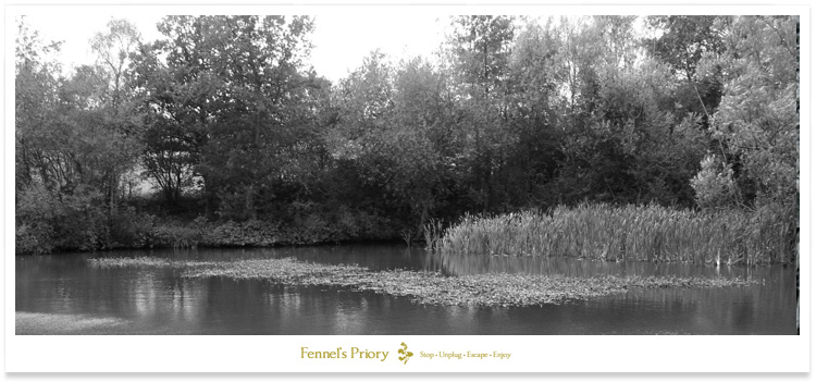 Fennel's Cottage Pool