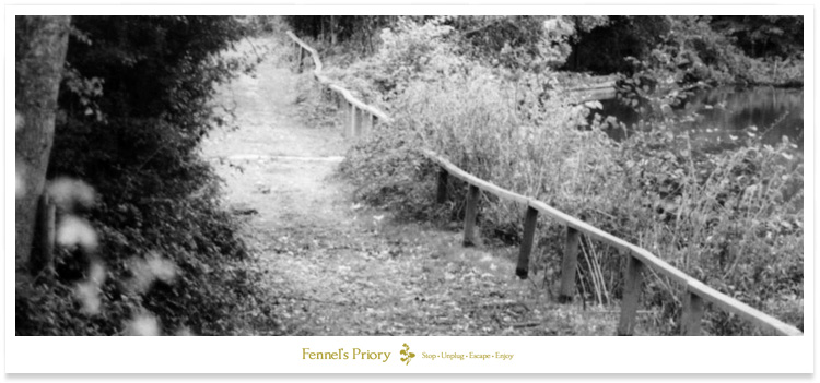 The famous dam rail at Redmire Pool