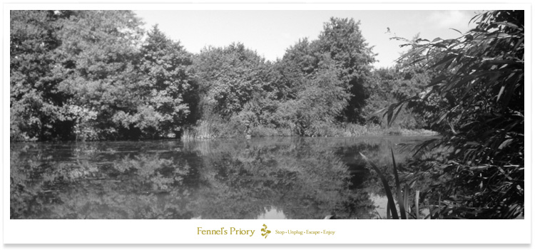 Redmire Pool from the Greenbanks swim