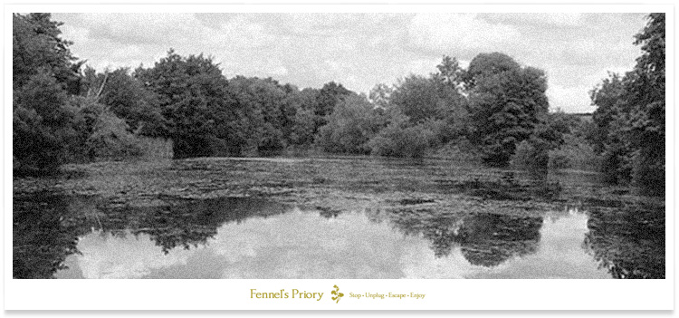 Redmire Pool as viewed from the dam. 