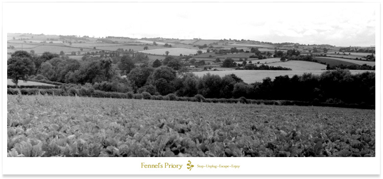 Redmire Pool - valley