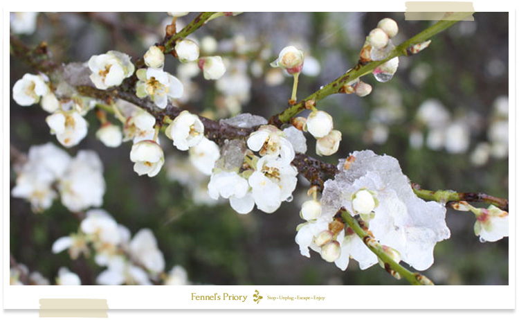 Fennel's blog - Storm force in May