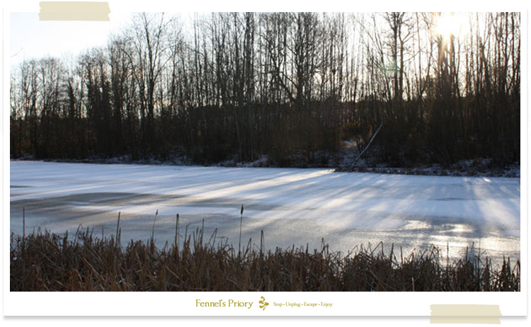 Fennel's blog - This lake in winter
