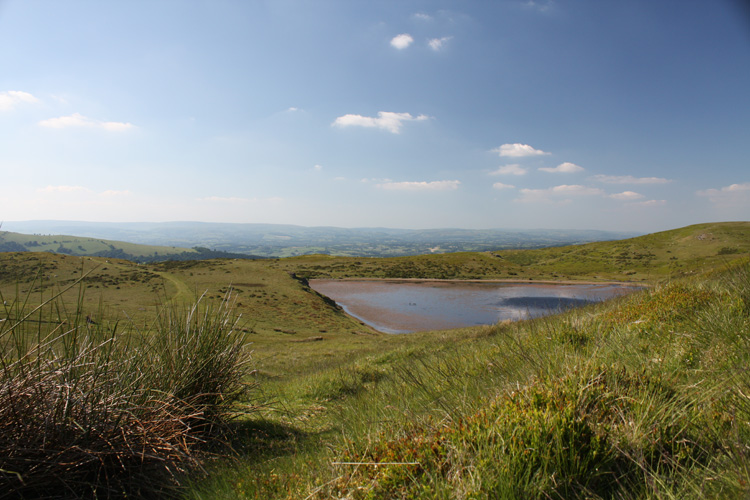 wild carp wales scenery fennel hudson