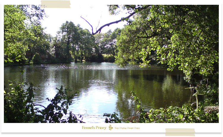 wild carp lake