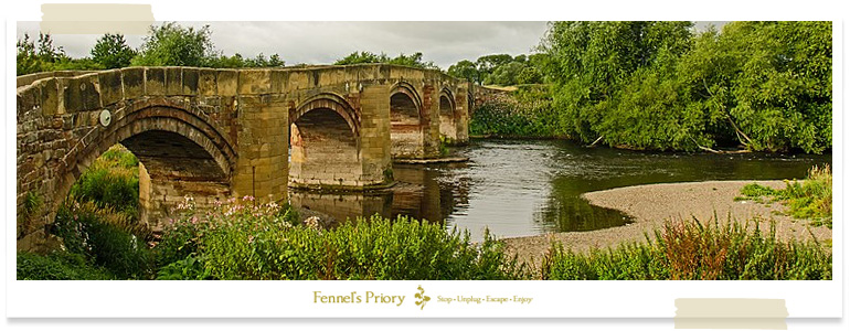 Fennel's Priory summer social