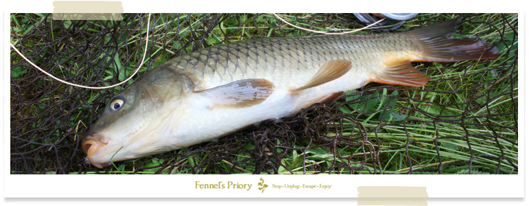 Wild carp on the Fly, Fennel's Priory event