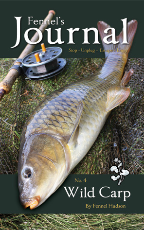 Fennel's Journal - Wild Carp