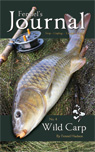 Fennel's Wild Carp Blog