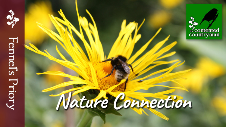 The Contented Countryman podcast | Episode 2: Nature Connection