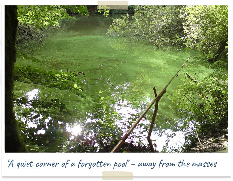 The quiet corner of a forgotten pool