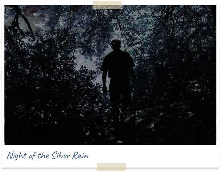 Night of the silver rain